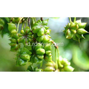 Pengering aniseed, peralatan pengeringan anise, pengering anise